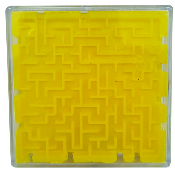 Brain Maze
