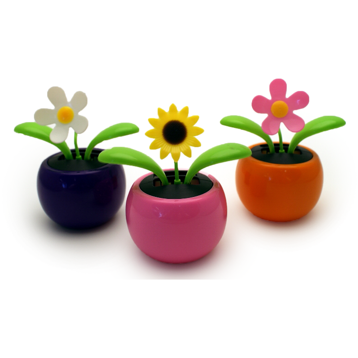 Solar Dancing Flowers