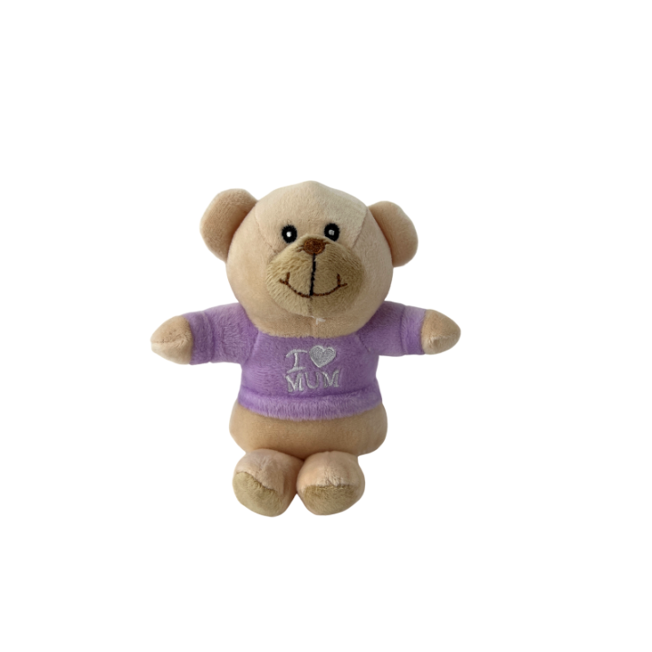 Talking Teddy