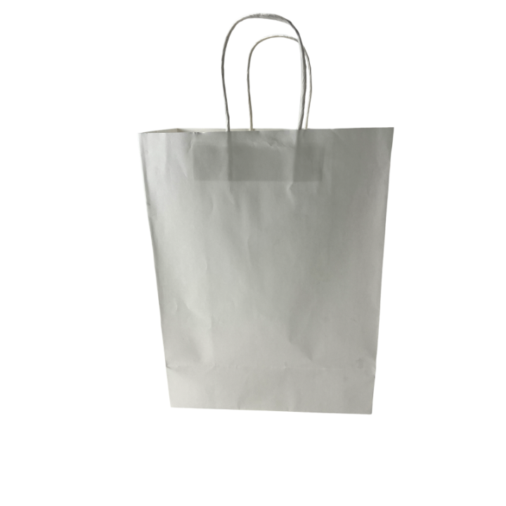 Paper Gift Bag